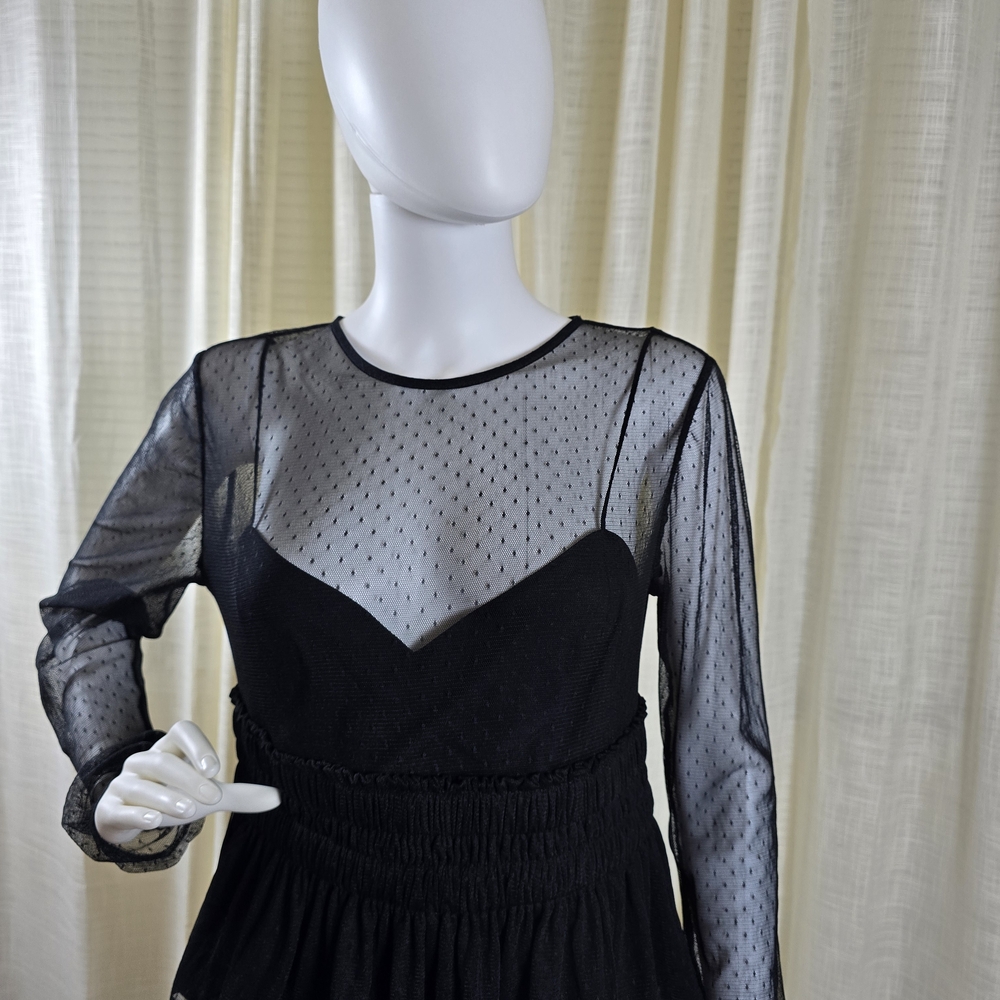 Express Black Sheer Blouse